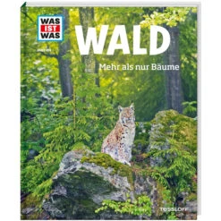 WAS IST WAS WALD Kinderbuch TESSLOFF VERLAG