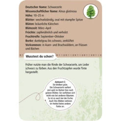 Moses Verlag EXPEDITION NATUR 50 HEIMISCHE BÄUME Reisespiel NOPUBLISHER -Mein Camping Geschaft 258786 c 50 heimische baeume