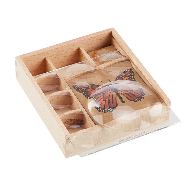 Kikkerland HUCKLEBERRY MY LITTLE MUSEUM Spielzeug NOCOLOR 4 Kikkerland HUCKLEBERRY MY LITTLE MUSEUM Spielzeug NOCOLOR – Bild 2