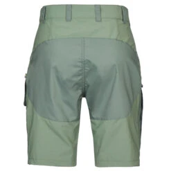 FJÄLLRÄVEN Fjällräven ABISKO MIDSUMMER SHORTS W Damen Shorts JADE GREEN-PATINA GREEN -Mein Camping Geschaft 5637909771 c abisko midsummer shorts w fjaellraeven 20