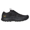 Arc'teryx AERIOS FL 2 GTX W Damen Wanderschuhe BLACK/BLACK -Mein Camping Geschaft 5637962930 a aerios fl 2 gtx m arc teryx 24