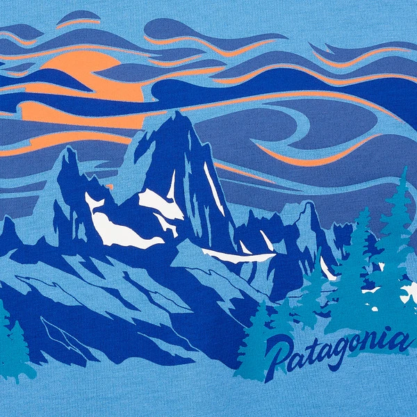 Patagonia K' S L/S REGENERATIVE ORGANIC CERTIFIED COTTON GRAPHIC T-SHIR Kinder Langarmshirt FITZ ROY HOMEPEAKS: BLUE BIRD – Bild 4