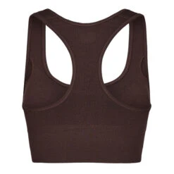 Icebreaker W MERINO SEAMLESS ACTIVE BRA Damen Sport BH BITTERSWEET -Mein Camping Geschaft 5638090155 b w merino seamless active bra icebreaker 24